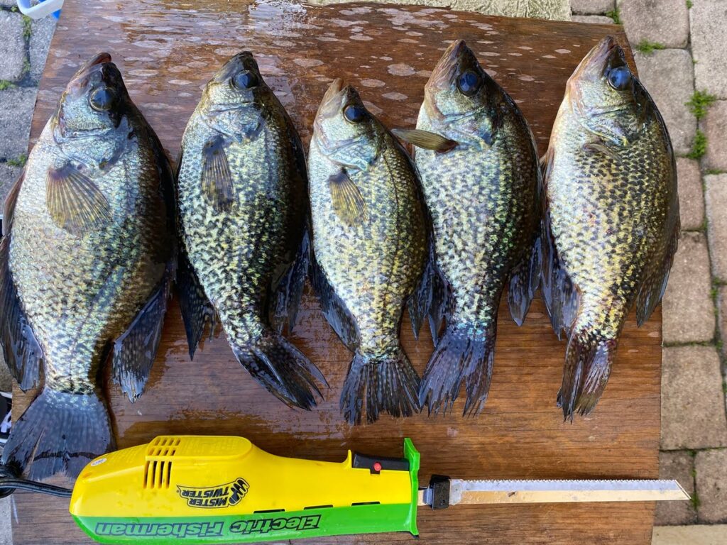 world record crappie